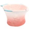 Pink Ceramic Fish-Shaped Food Bowl, Shallow Dish view 1