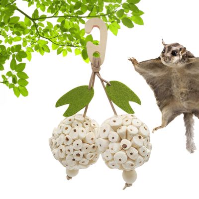 Bird Cage Toy for Parrots