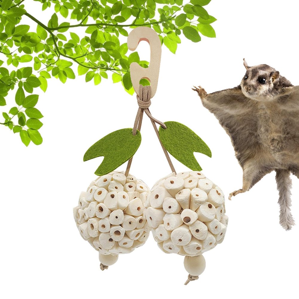 Bird Cage Toy for Parrots