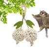 Bird Cage Toy for Parrots view 1