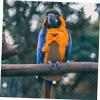 VANZACK 3-Piece Bird Diaper Set for Small Birds, Breathable Reusable Flight Suits for Budgies, Parrots and Cockatiels view 4