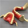Dental Study Teaching Model, Jaw Implant and Maxillary Sinus Lift Model view 2