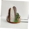 COLLBATH Primitive Pet Hat for Cats and Dogs view 2