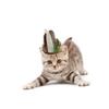 COLLBATH Primitive Pet Hat for Cats and Dogs view 3