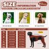 Hjyokuso Dog Recovery Suit, Surgery Suit, Hind-Leg Lick Sleeve, Size L view 4