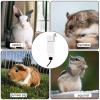 Pet Water Dispenser view 3