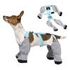 Waterproof Dog Leggings with Boots view 1