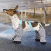 Waterproof Dog Leggings with Boots view 2