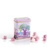 Leone since 1857 - Once Upon a Time Pastiglie Leone Tin Collection - Refreshing Mixed Candies and Forest Fruit Candies - 6 Tins, 30 g Each (6 x 30 g) view 4