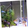 Yardwe Acrylic Feeding Tube Set for Shrimp and Ornamental Fish view 2