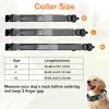 Boloshine Tactical Dog Collar view 3