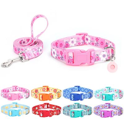 Moonpet Dog Collar with Leash Set