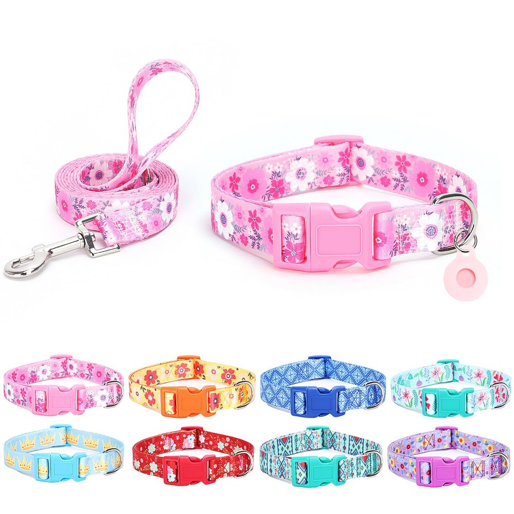 Moonpet Dog Collar with Leash Set