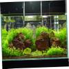 BESPORTBLE Floating Aquarium Plants (2-Pack) view 3