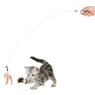 RXMORI Retractable Feather Wand Toy for Cats