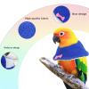 LuckyOpt Bird Recovery Collar for Small Parrots, Yellow, S view 3