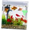 Kisangel 20-Piece Fish Feeder Set with Suction Cups view 2