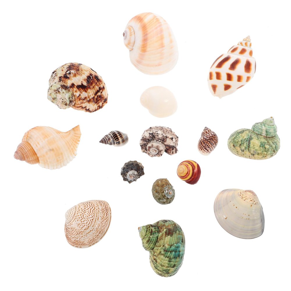 BESPORTBLE Natural Seashell Aquarium Decorations with Shells and Snail Materials, Delicate Bonsai Decor and Fish Shelter for Saltwater Aquariums, Random Style