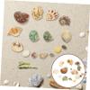 BESPORTBLE Natural Seashell Aquarium Decorations with Shells and Snail Materials, Delicate Bonsai Decor and Fish Shelter for Saltwater Aquariums, Random Style view 4