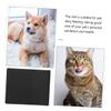 Diatomite Feeding Mat for Dogs and Cats, Absorbent Bowl Mat view 4