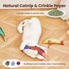 vdha 3-Pack Cat Toy Saury Fish with Catnip view 4