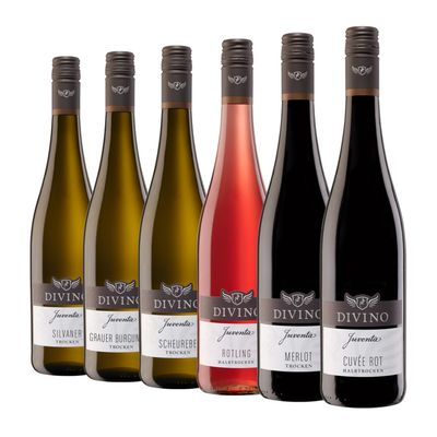 DIVINO JUVENTA Franconian Wine Tasting Package – Silvaner, Pinot Gris, Scheurebe, Rotling, Merlot & Red Cuvée (6 × 0.75 L)