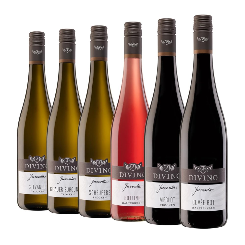 DIVINO JUVENTA Franconian Wine Tasting Package – Silvaner, Pinot Gris, Scheurebe, Rotling, Merlot & Red Cuvée (6 × 0.75 L)