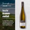 DIVINO JUVENTA Franconian Wine Tasting Package – Silvaner, Pinot Gris, Scheurebe, Rotling, Merlot & Red Cuvée (6 × 0.75 L) view 4