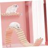 VANZACK Hamster and Parrot Climbing Ladder Toy in Khaki view 2