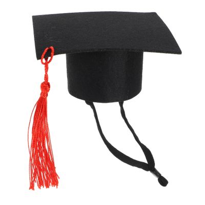 Adjustable Doctor Hat for Small Pets