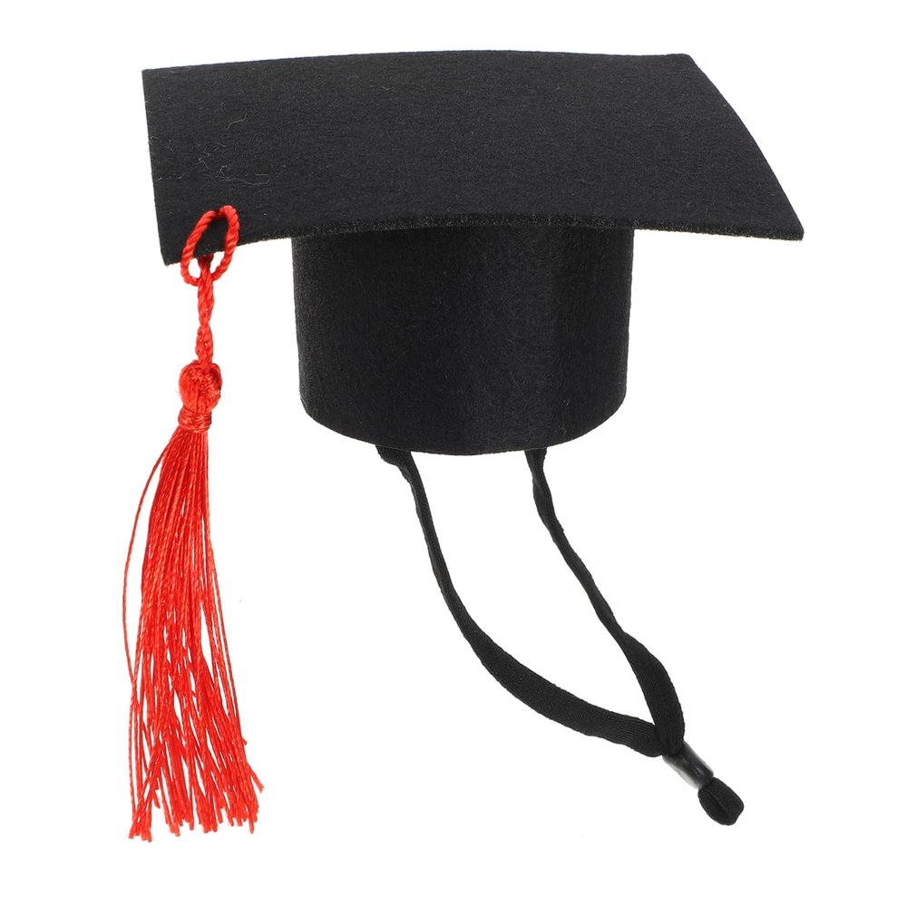Adjustable Doctor Hat for Small Pets