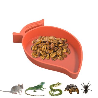 Mango-Shaped Gecko Water and Food Bowl