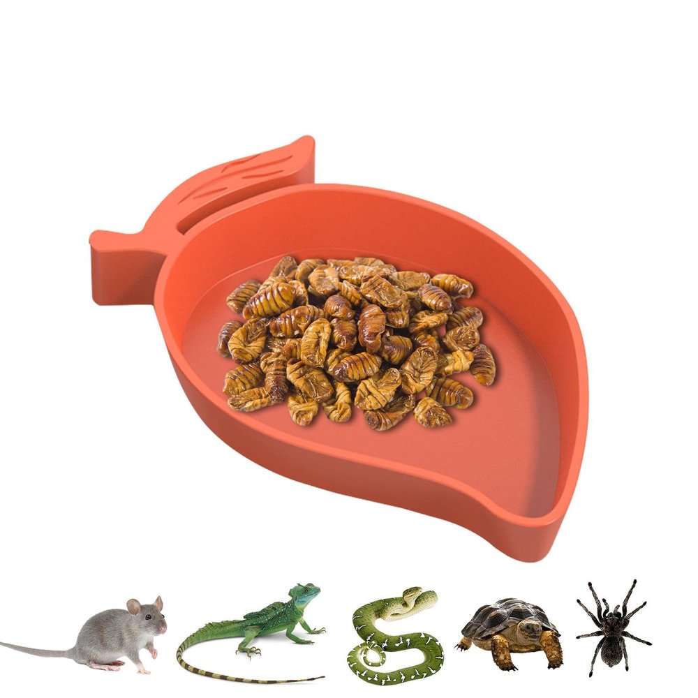 Mango-Shaped Gecko Water and Food Bowl