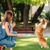 Pets Bell Ball view 2