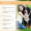 GJYC PET Quick Healing & Hair Restoration for Dogs - 1 oz. Can view 2