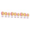 FOMIYES 9-Piece Refillable Travel Bottle Set, Hot Air Balloon Design view 1