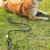 Retriever Dog Leash with Easy Closure view 3