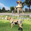 ZHTBATE Adjustable Dog Wheelchair for Hind Legs, Size M view 2