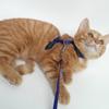 Adjustable Nylon Cat Harness and Leash Set view 4