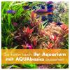 AQUAbasics Aquarium pH Minus + KH Minus for Soft-Water Fish, 1 Liter view 4