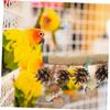 BESPORTBLE Natural Wood Bird Perch, Multifunctional Cage Toy for Parrots, Parakeets and Pet Birds view 4