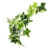 Kisangel 3-Piece Artificial Hanging Plants for Reptile Terrariums view 2