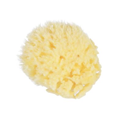 Honeycomb-Shaped Natural Sponge for Shower and Bath