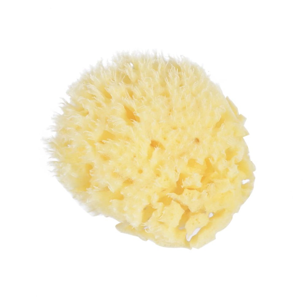 Honeycomb-Shaped Natural Sponge for Shower and Bath