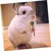 INOOMP 10-Piece Chew Sticks for Small Pets, Hay Toys for Rabbits, Guinea Pigs and Hamsters view 3