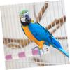 SEWOART Stainless Steel Bird Perch 20cm view 3