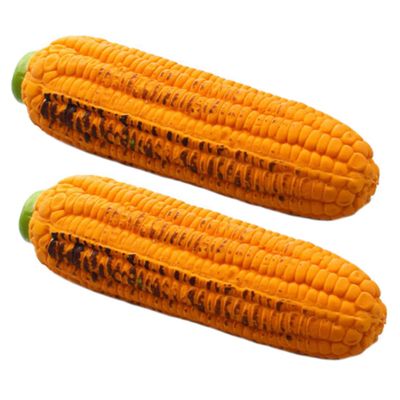 INOOMP 2-Pack Dog Squeaky Toy