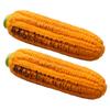 INOOMP 2-Pack Dog Squeaky Toy view 1