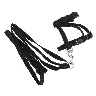 Supvox Adjustable Cat Harness with Nylon Leash, Quick-Release Buckle, for Cats and Kittens, Indoor and Outdoor Use, Black, Comfortable and Safe