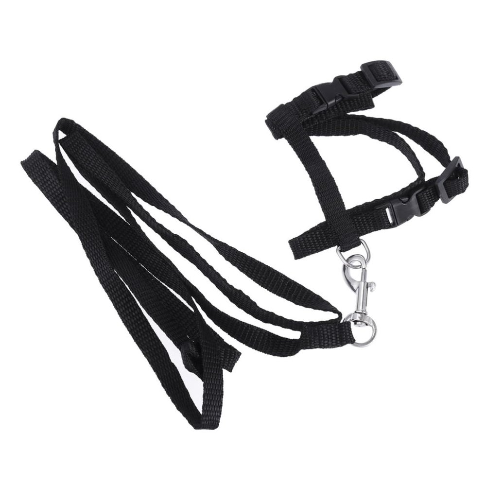 Supvox Adjustable Cat Harness with Nylon Leash, Quick-Release Buckle, for Cats and Kittens, Indoor and Outdoor Use, Black, Comfortable and Safe